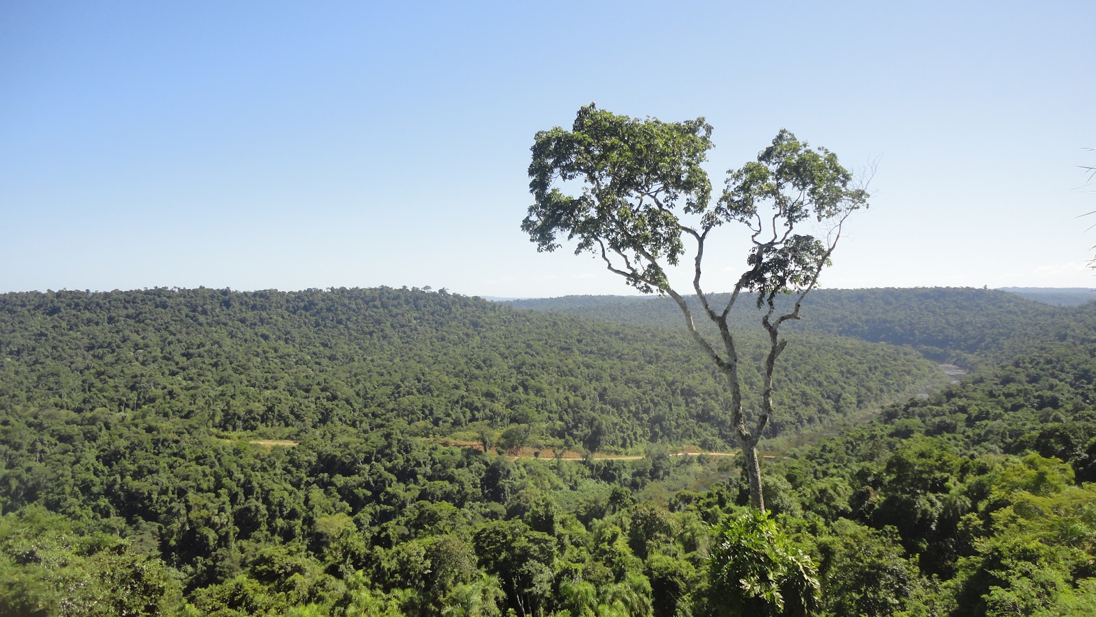 fuero ambiental derecho