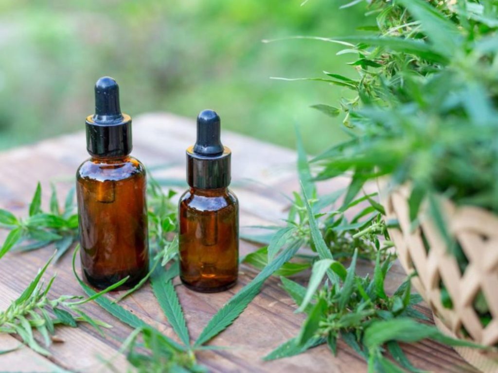 reprocann salteño