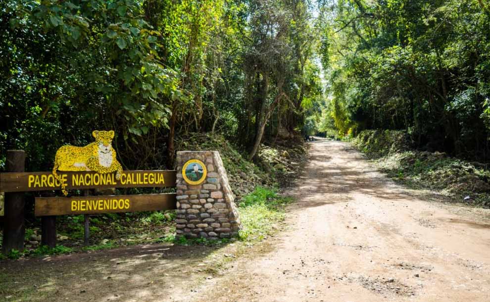 Parque Calilegua